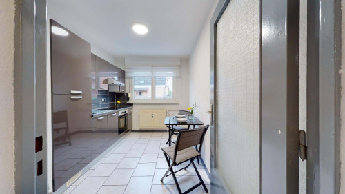 Room in Rue du Galtz, Colmar for 58 m² with 3 bedrooms - Gallery - 9