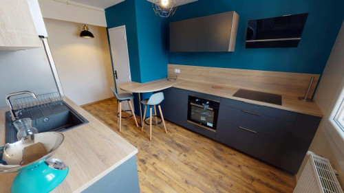Room in Rue Dupleix, Grenoble for 68 m² with 3 bedrooms - Gallery - 13