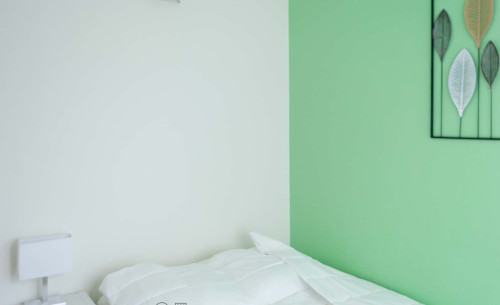 Room in Rue Vincent Van Gogh, Toulouse for 85 m² with 5 bedrooms - Gallery - 9