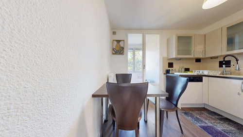 Room in Rue de la Feyssine, Villeurbanne for 66 m² with 3 bedrooms - Gallery - 10
