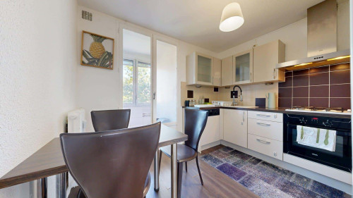 Room in Rue de la Feyssine, Villeurbanne for 66 m² with 3 bedrooms - Gallery - 12