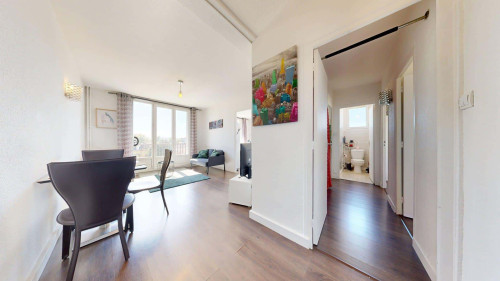 Room in Rue de la Feyssine, Villeurbanne for 66 m² with 3 bedrooms - Gallery - 13
