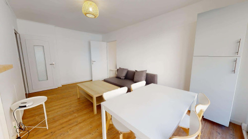 Room in Rue Flachet, Villeurbanne for 67 m² with 4 bedrooms - Gallery - 10