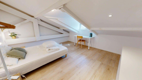 Room in Rue Calixte Camelle, Talence for 178 m² with 10 bedrooms - Gallery - 16