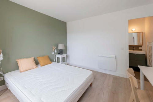 Room in Rue Calixte Camelle, Talence for 178 m² with 10 bedrooms - Gallery - 29