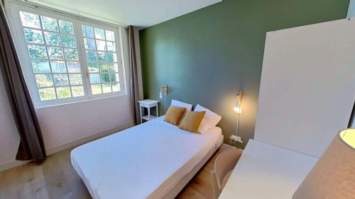 Room in Rue Calixte Camelle, Talence for 178 m² with 10 bedrooms - Gallery - 29