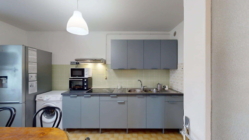 Room in Rue Docteur Schweitzer, Grenoble for 100 m² with 5 bedrooms - Gallery - 19