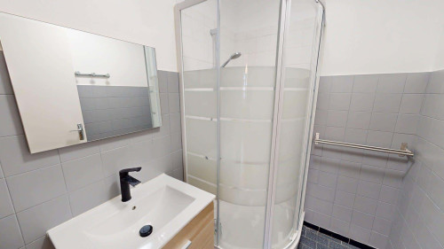 Room in Rue Docteur Schweitzer, Grenoble for 100 m² with 5 bedrooms - Gallery - 12