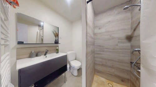 Room in Rue Auguste Blanqui, Roubaix for 99 m² with 4 bedrooms - Gallery - 9