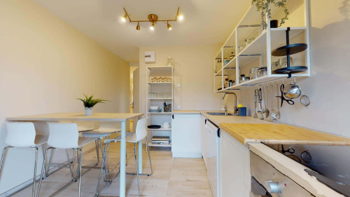 Room in Avenue Jean Perrot, Grenoble for 139 m² with 6 bedrooms - Gallery - 14