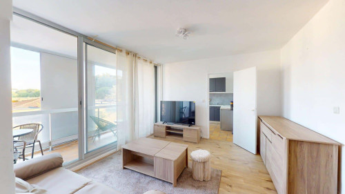 Room in Rue Georges Bernanos, Toulouse for 63 m² with 3 bedrooms - Gallery - 14