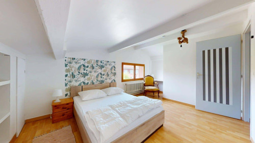 Room in Rue Jean Perrin, Lyon for 154 m² with 4 bedrooms - Gallery - 28