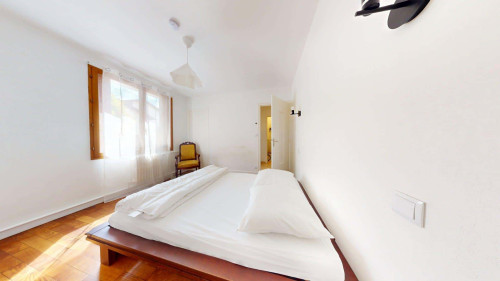 Room in Rue Jean Perrin, Lyon for 154 m² with 4 bedrooms - Gallery - 26
