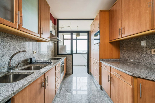 Rua do Campo Alegre - Gallery - 5