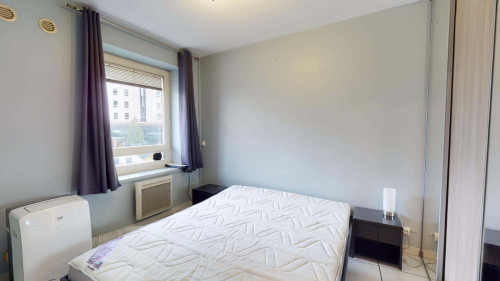 Apartment in Rue Lavoisier, Lyon for 33 m² with 1 bedroom - Gallery - 10