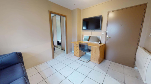 Apartment in Rue Lavoisier, Lyon for 33 m² with 1 bedroom - Gallery - 20