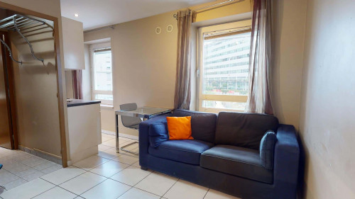 Apartment in Rue Lavoisier, Lyon for 33 m² with 1 bedroom - Gallery - 17