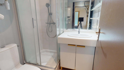 Apartment in Rue Lavoisier, Lyon for 33 m² with 1 bedroom - Gallery - 15