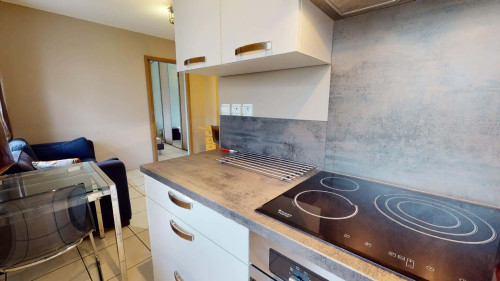 Apartment in Rue Lavoisier, Lyon for 33 m² with 1 bedroom - Gallery - 13