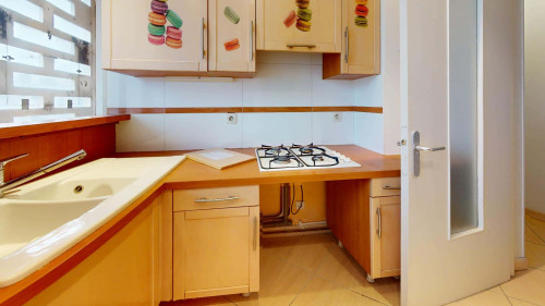 Room in Rue Pierre Voyant, Villeurbanne for 80 m² with 5 bedrooms - Gallery - 9