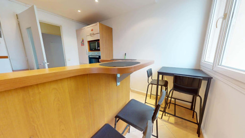 Room in Rue Pierre Voyant, Villeurbanne for 80 m² with 5 bedrooms - Gallery - 6