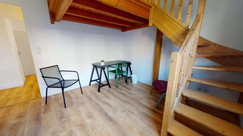 Room in Rue Ferrer, Oullins-Pierre-Bénite for 150 m² with 7 bedrooms - Gallery - 23