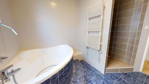 Room in Rue Ferrer, Oullins-Pierre-Bénite for 150 m² with 7 bedrooms - Gallery - 9