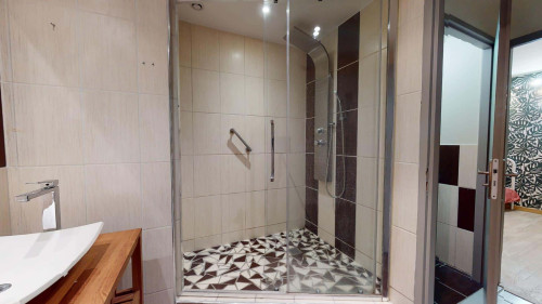 Room in Rue Ferrer, Oullins-Pierre-Bénite for 150 m² with 7 bedrooms - Gallery - 6
