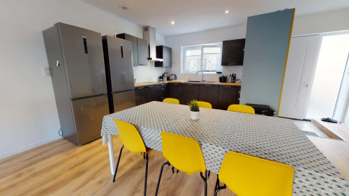 Room in Rue Ferrer, Oullins-Pierre-Bénite for 150 m² with 7 bedrooms - Gallery - 19