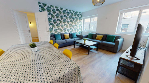 Room in Rue Ferrer, Oullins-Pierre-Bénite for 150 m² with 7 bedrooms - Gallery - 21