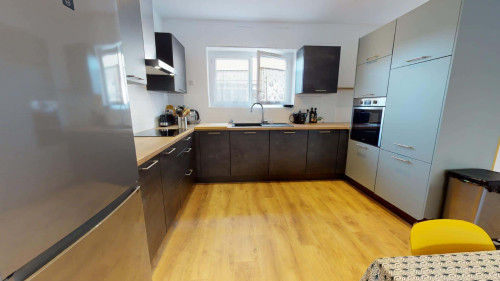 Room in Rue Ferrer, Oullins-Pierre-Bénite for 150 m² with 7 bedrooms - Gallery - 18
