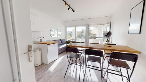 Room in Rue Professeur Patel, Lyon for 116 m² with 7 bedrooms