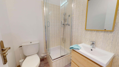 Room in Rue Professeur Patel, Lyon for 116 m² with 7 bedrooms - Gallery - 8