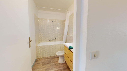 Room in Rue Professeur Patel, Lyon for 116 m² with 7 bedrooms - Gallery - 9
