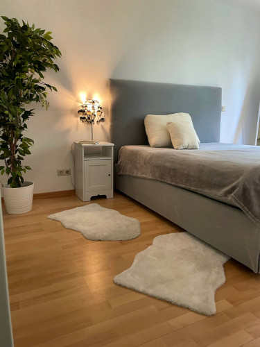 Weiglstraße - Gallery - 12