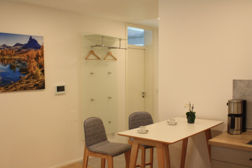 Modern apartment near Munich & Airport - fully furnished with terrace - Gallery - 3
