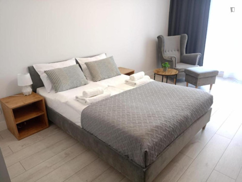 Inviting studio near the Faculty of Mathematics and Information Technologies