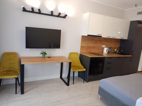 Inviting studio near the Faculty of Mathematics and Information Technologies