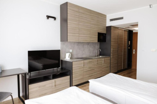Inviting studio near the Faculty of Mathematics and Information Technologies