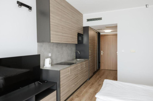 Inviting studio near the Faculty of Mathematics and Information Technologies
