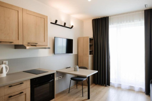 Cozy studio near the Faculty of Mathematics and Information Technologies