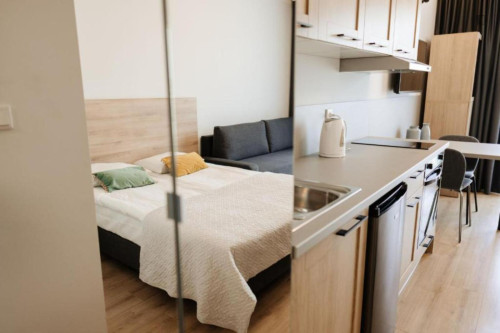 Cozy studio near the Faculty of Mathematics and Information Technologies