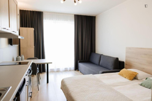 Cozy studio near the Faculty of Mathematics and Information Technologies