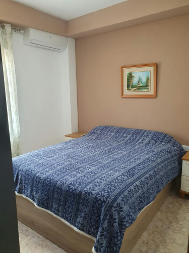 Calle Vega Baja del Segura, Torrevieja - Gallery - 7