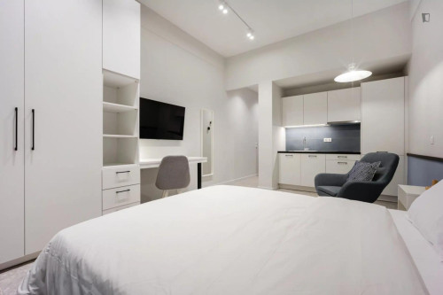 Powerful Studio close to  Athens University of Economics and Business - Gallery - 14