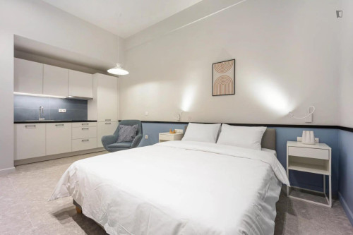 Powerful Studio close to  Athens University of Economics and Business - Gallery - 10