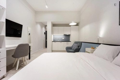 Powerful Studio close to  Athens University of Economics and Business - Gallery - 13