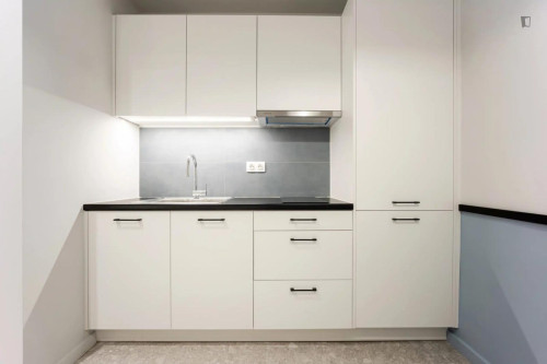 Powerful Studio close to  Athens University of Economics and Business