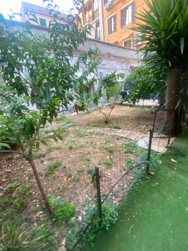 Apartment in Via Muzio Attendolo, Roma for 40 m² with 2 bedrooms - Gallery - 7