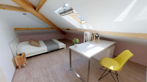 Room in Rue Jules Cambon, Lyon for 120 m² with 5 bedrooms - Gallery - 24